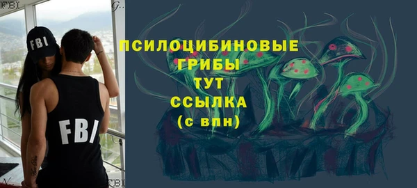 первитин Лиски