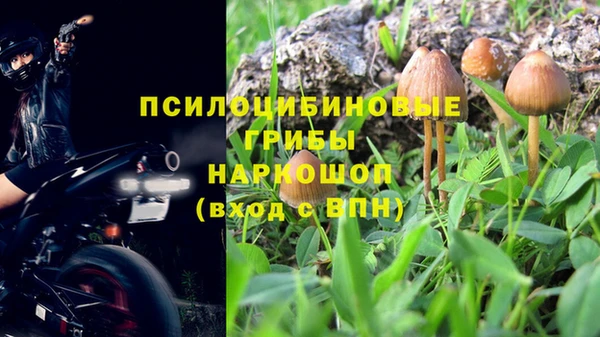 первитин Лиски
