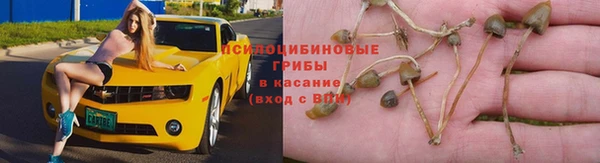 прущие крисы Лихославль
