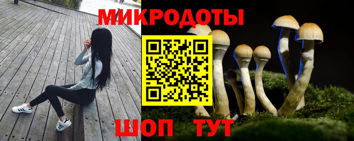 Псилоцибиновые грибы мицелий Волгодонск