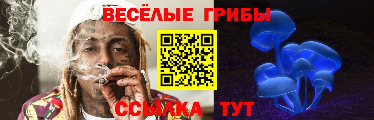 Псилоцибиновые грибы GOLDEN TEACHER  Галлюциногенные грибы Psilocybe  Волгодонск 